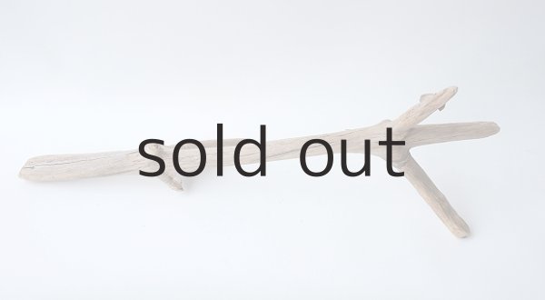 画像5: 枝流木 (5)