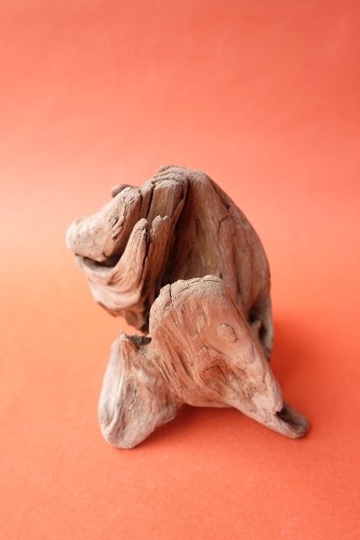 画像2: 変形流木 (2)