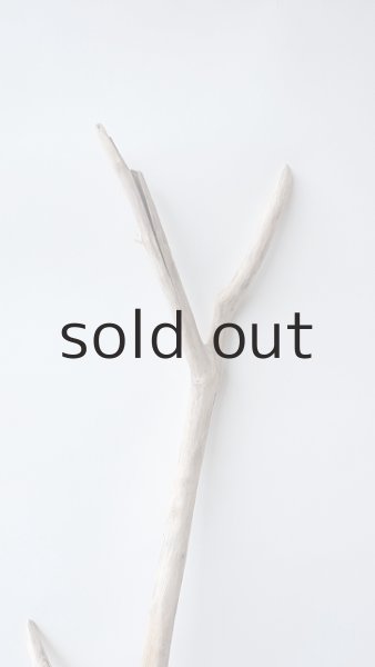 画像4: 枝流木 (4)