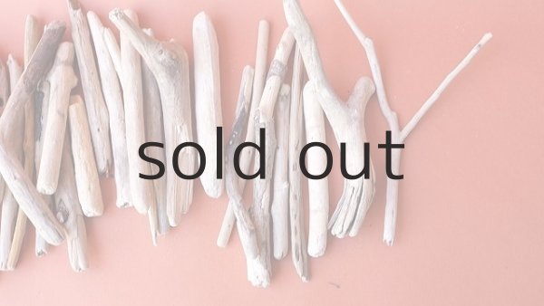 画像4: 小枝流木セット (4)