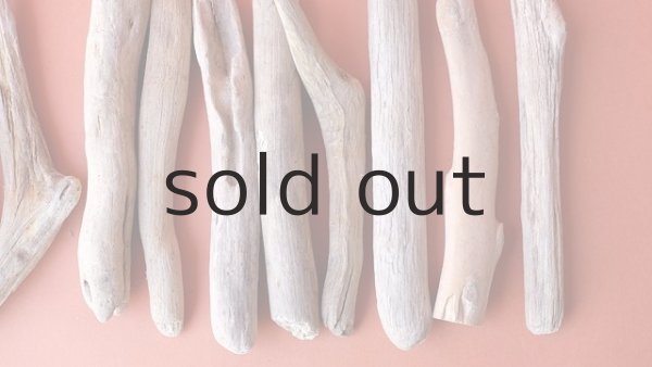 画像4: 小枝流木セット (4)