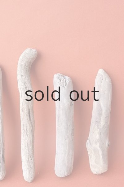 画像4: 小枝流木セット (4)