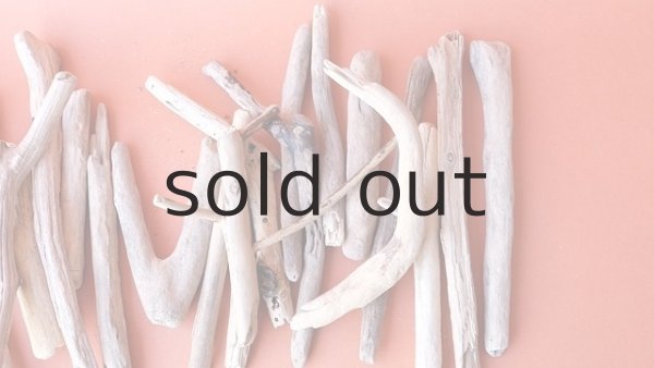 画像4: 小枝流木セット (4)