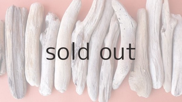 画像3: 小枝流木セット (3)