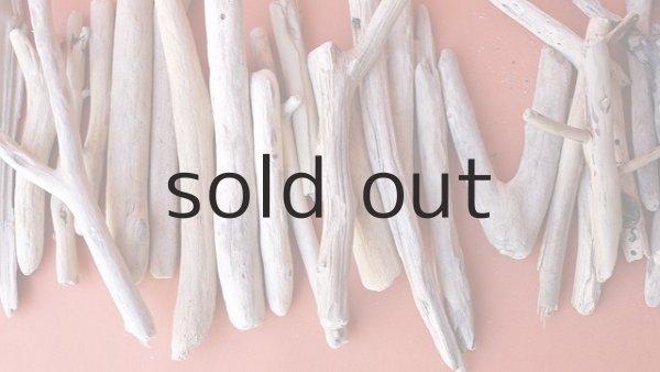 画像3: 小枝流木セット (3)