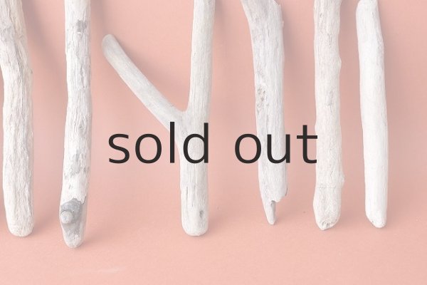 画像4: 小枝流木セット (4)