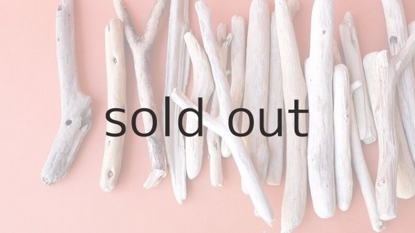 画像2: 小枝流木セット (2)