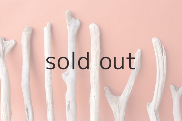 画像6: 小枝流木セット (6)