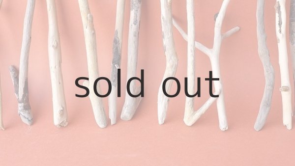 画像4: 小枝流木セット (4)