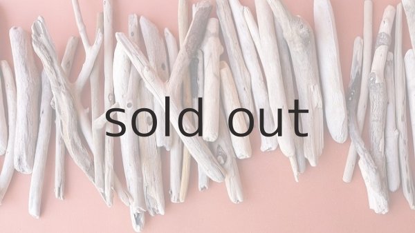 画像3: 小枝流木セット (3)