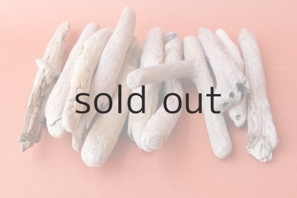 画像5: 小枝流木セット (5)