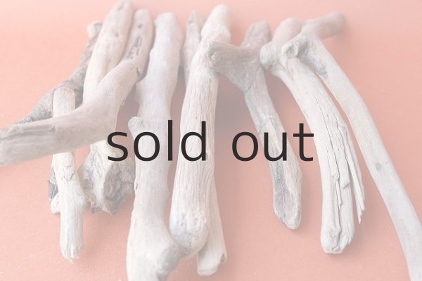 画像7: 小枝流木セット (7)