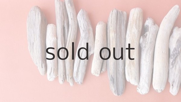 画像2: 小枝流木セット (2)