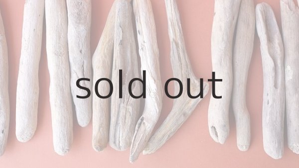 画像3: 小枝流木セット (3)