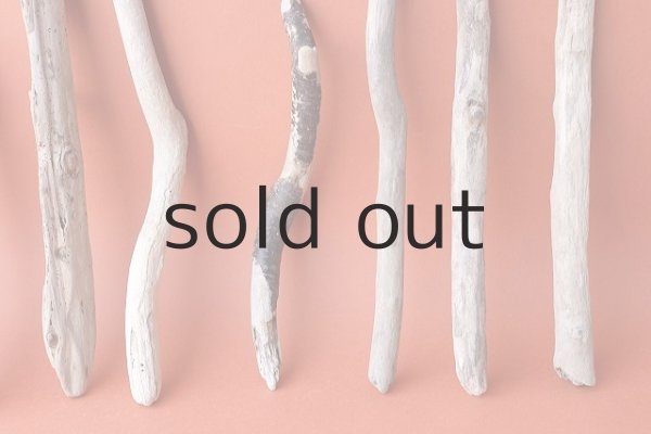 画像3: 小枝流木セット (3)