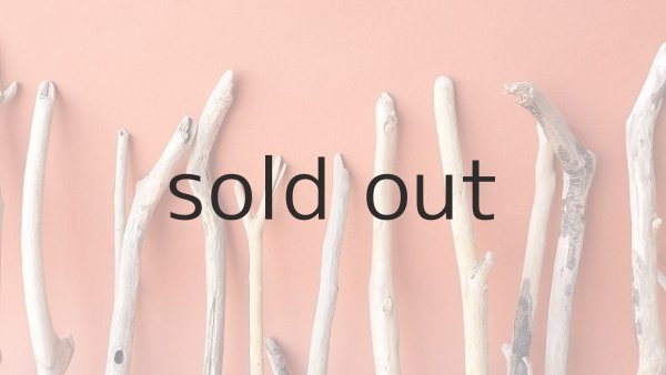 画像3: 小枝流木セット (3)