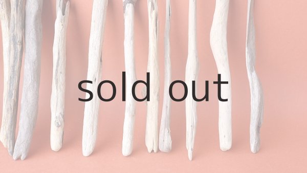 画像4: 小枝流木セット (4)