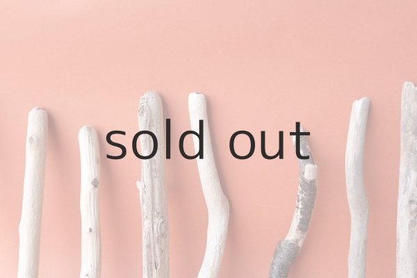 画像4: 小枝流木セット (4)