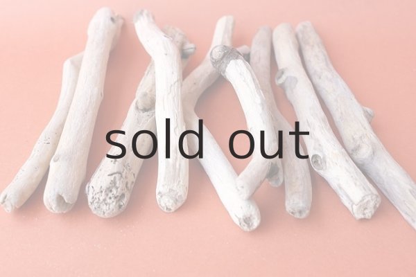 画像5: 小枝流木セット (5)