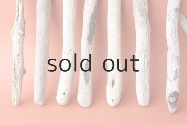 画像2: 小枝流木セット (2)