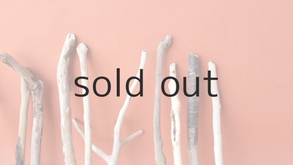 画像5: 小枝流木セット (5)