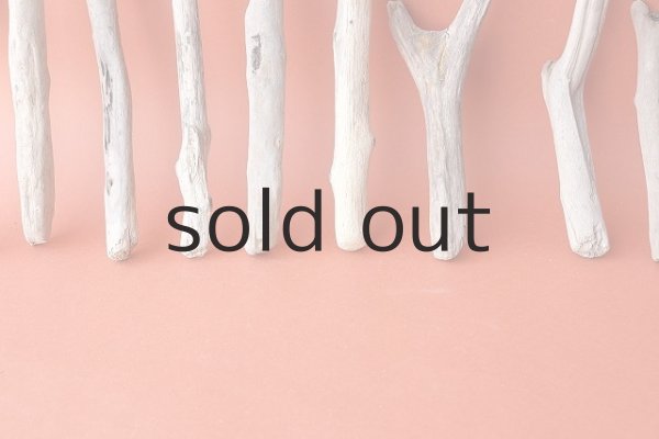 画像5: 小枝流木セット (5)