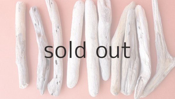 画像2: 小枝流木セット (2)