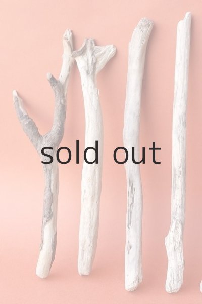 画像2: 小枝流木セット (2)