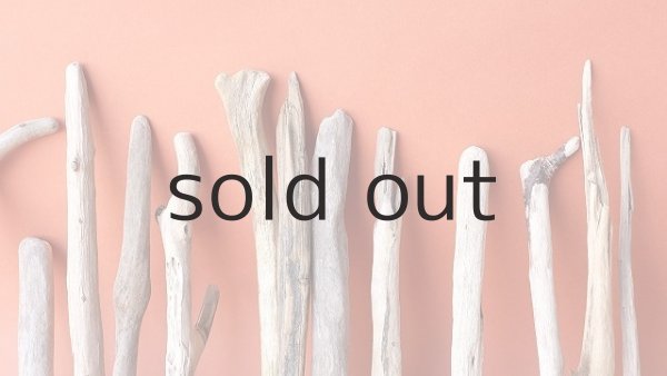 画像3: 小枝流木セット (3)