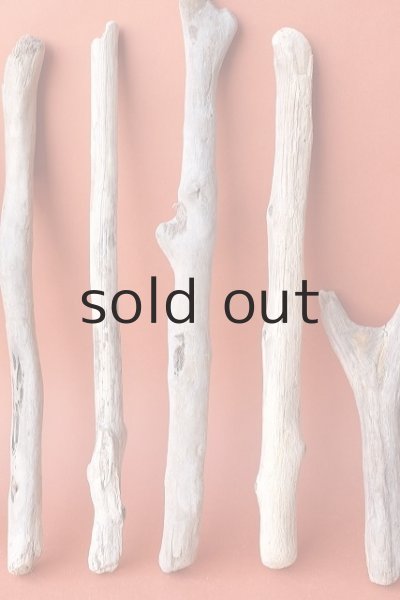 画像3: 小枝流木セット (3)