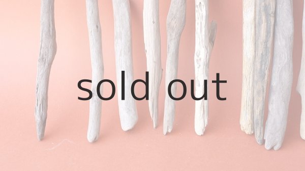 画像2: 小枝流木セット (2)