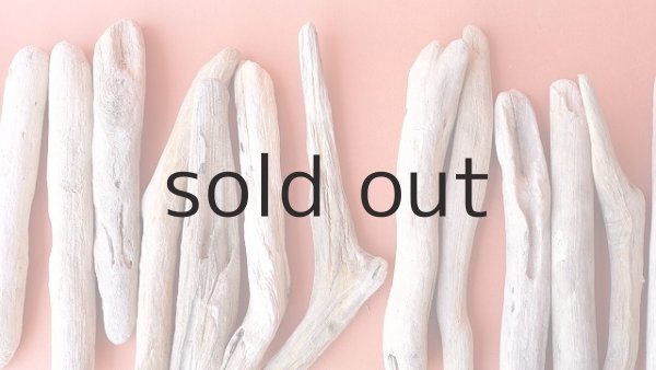 画像5: 小枝流木セット (5)