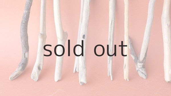 画像2: 小枝流木セット (2)