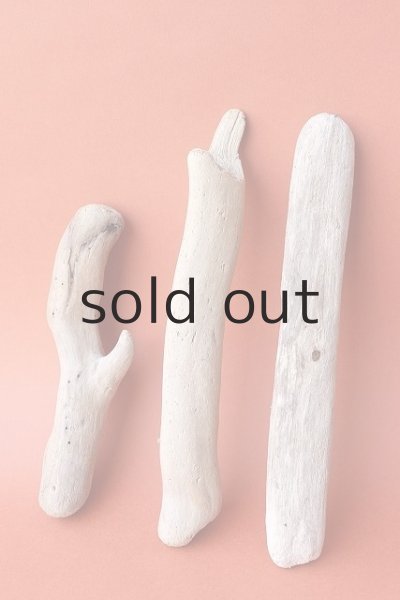 画像2: 小枝流木セット (2)