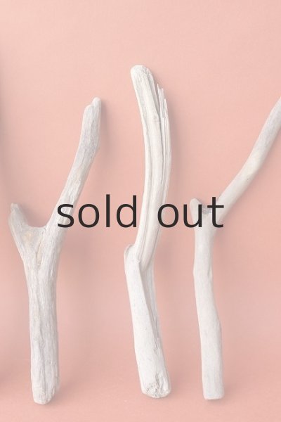 画像4: 小枝流木セット (4)