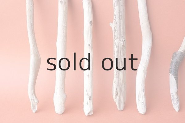 画像3: 小枝流木セット (3)