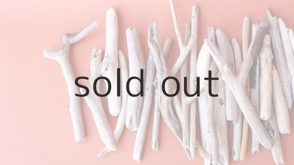 画像2: 小枝流木セット (2)