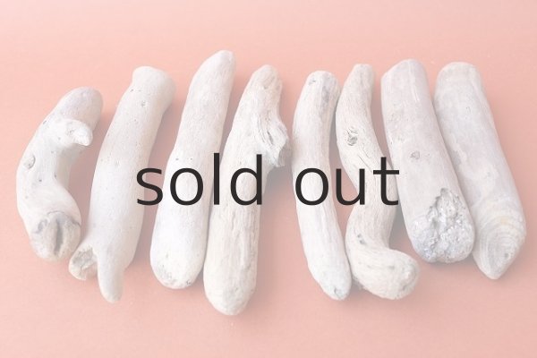 画像5: 小枝流木セット (5)