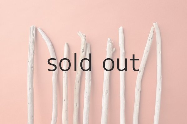 画像4: 棒流木セット (4)