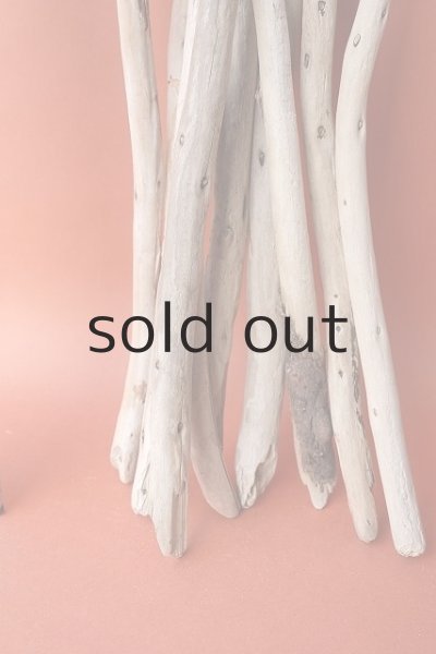 画像5: 棒流木セット (5)