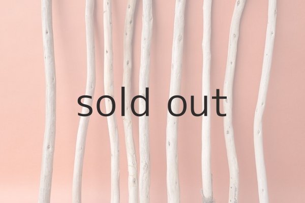 画像3: 棒流木セット (3)