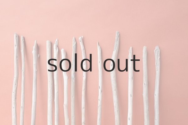 画像3: 棒流木セット (3)