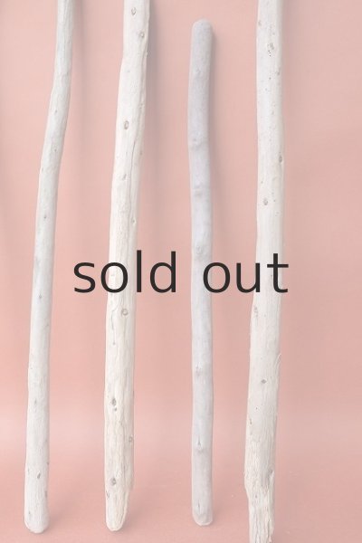 画像6: 棒流木セット (6)