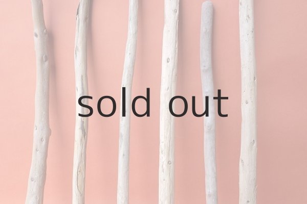 画像3: 棒流木セット (3)