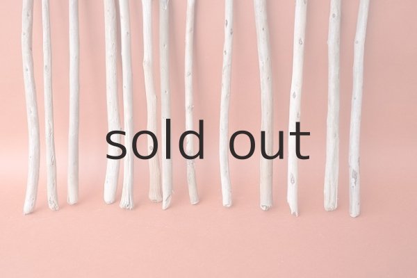 画像2: 棒流木セット (2)