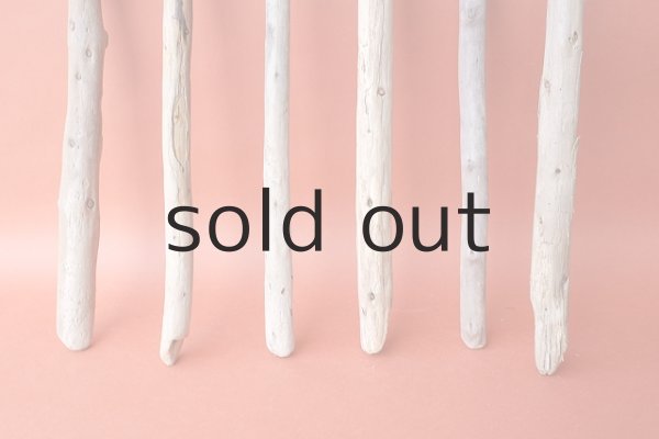 画像2: 棒流木セット (2)