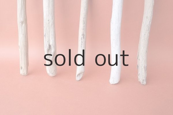 画像2: 棒流木セット (2)