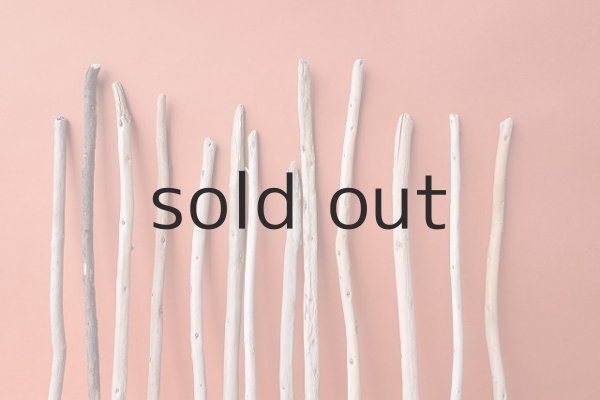 画像3: 棒流木セット (3)