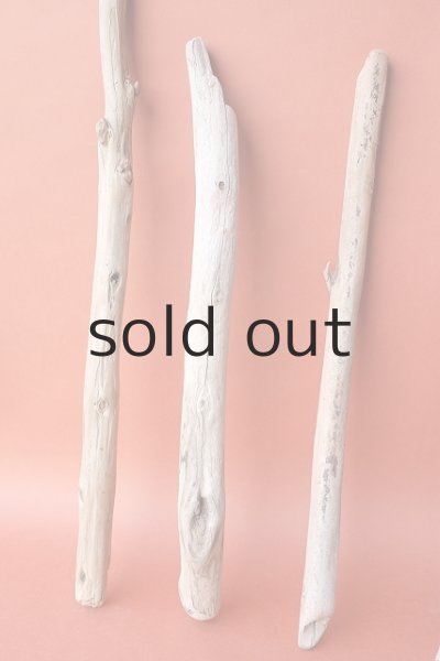 画像5: 棒流木セット (5)