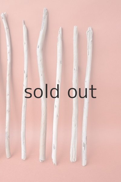 画像6: 棒流木セット (6)